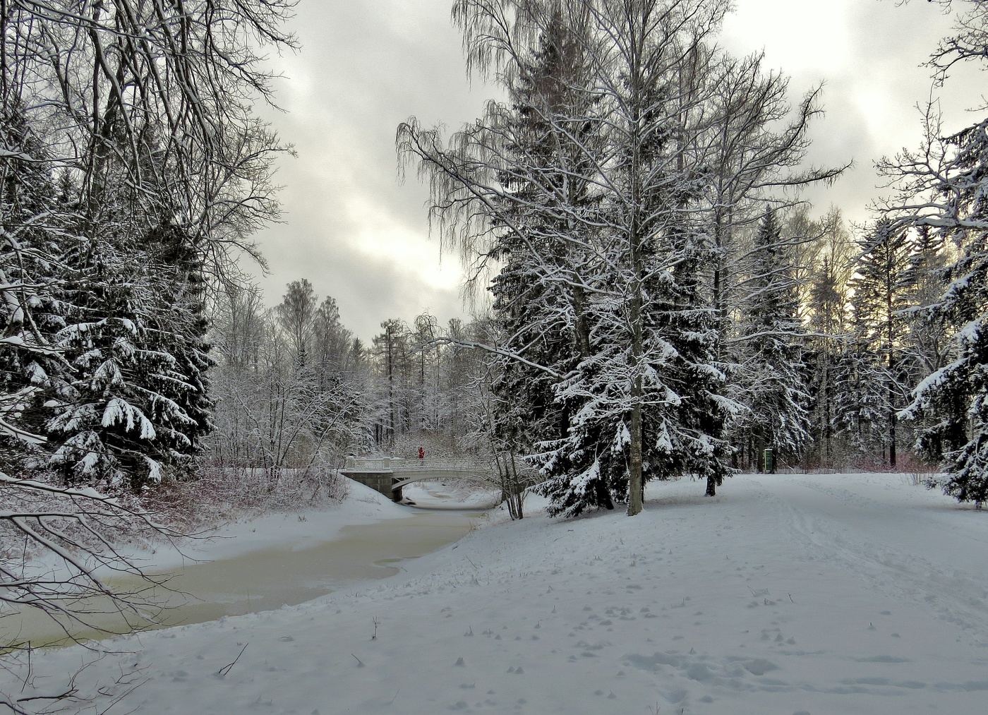 Зима красавица