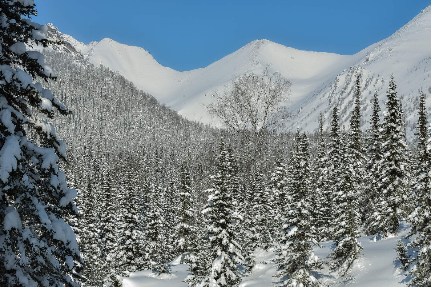 Горы Кузнецкий Алатау зимой