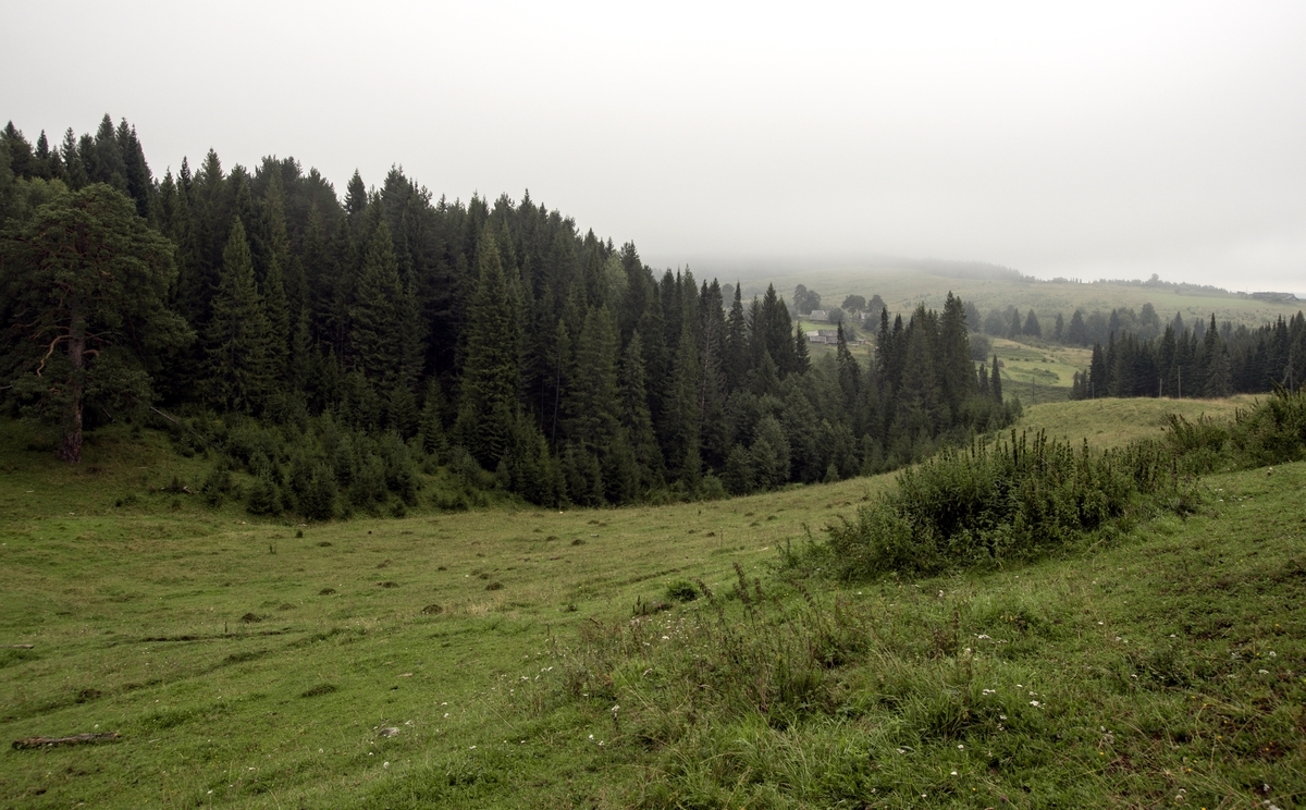 Ненастный день.