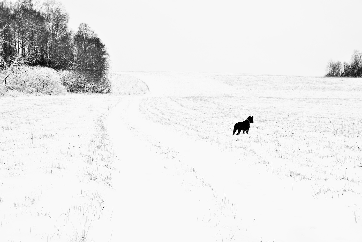 "После угомонившейся вьюги наступает в округе покой..."