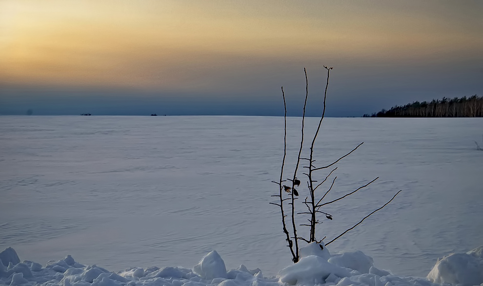 Незамерзающий.