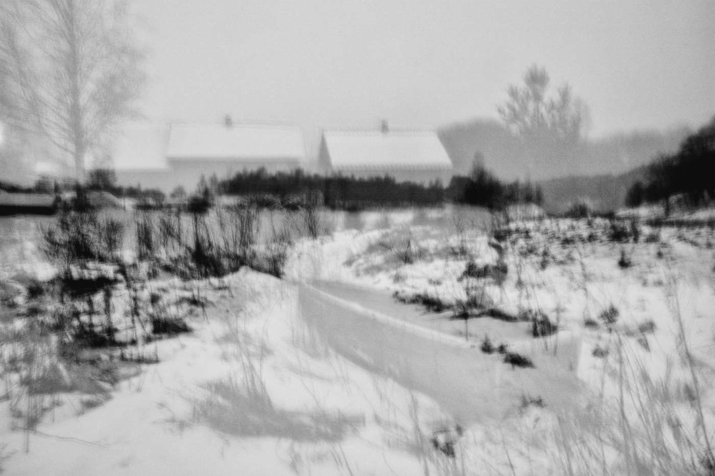 Жизнь вокруг