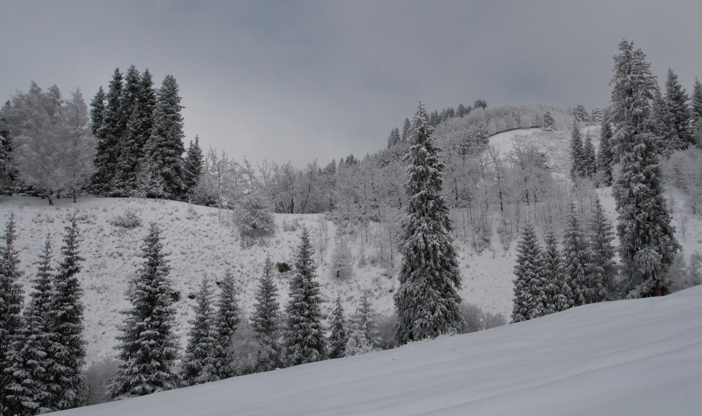 Зима в горах