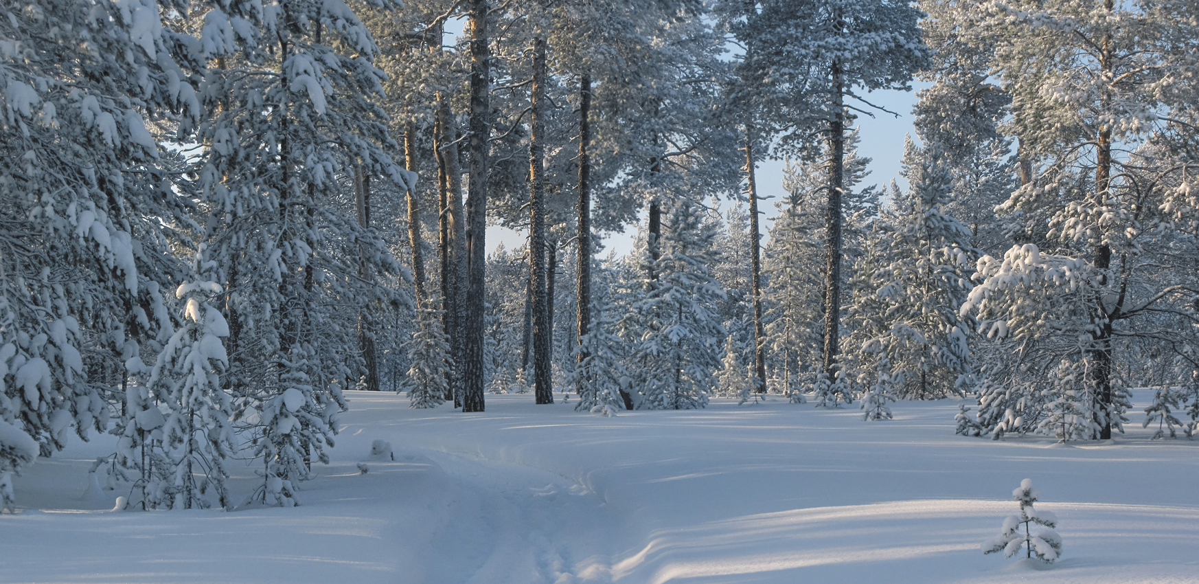 Зима!... и снегу намело...