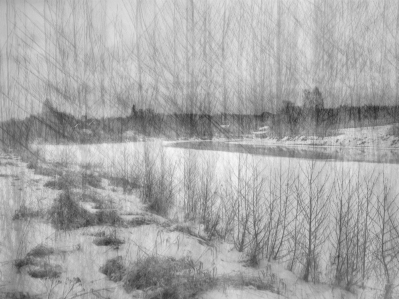 Жизнь вокруг