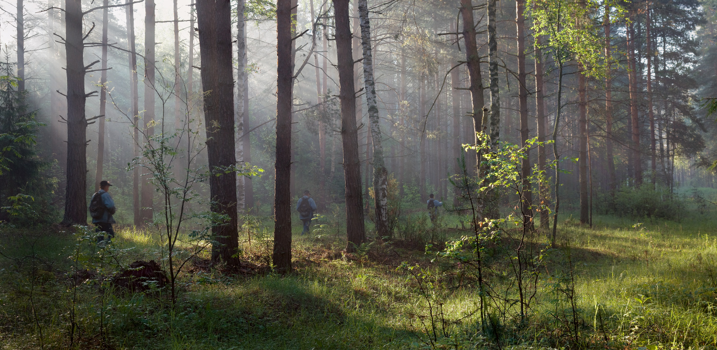 В ритме летнего утра