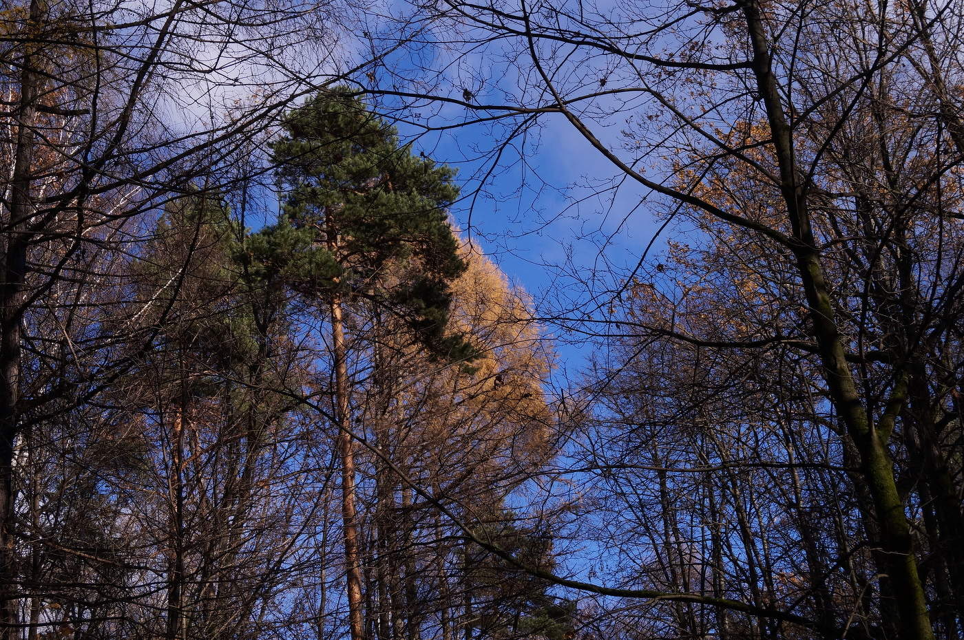 Прошедшая осень