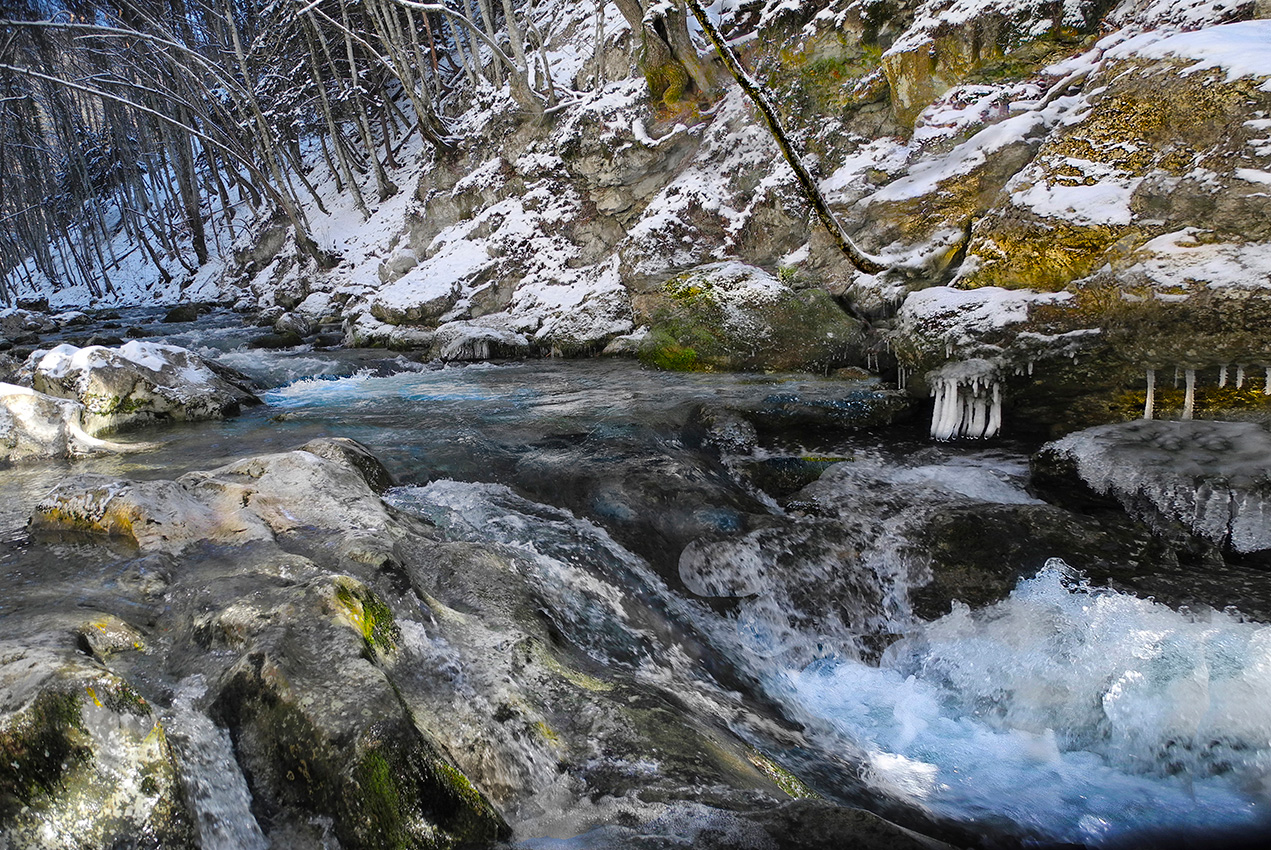 Лесной ручей