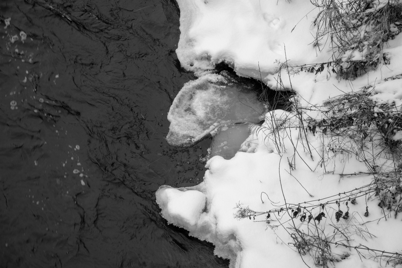 Жизнь вокруг