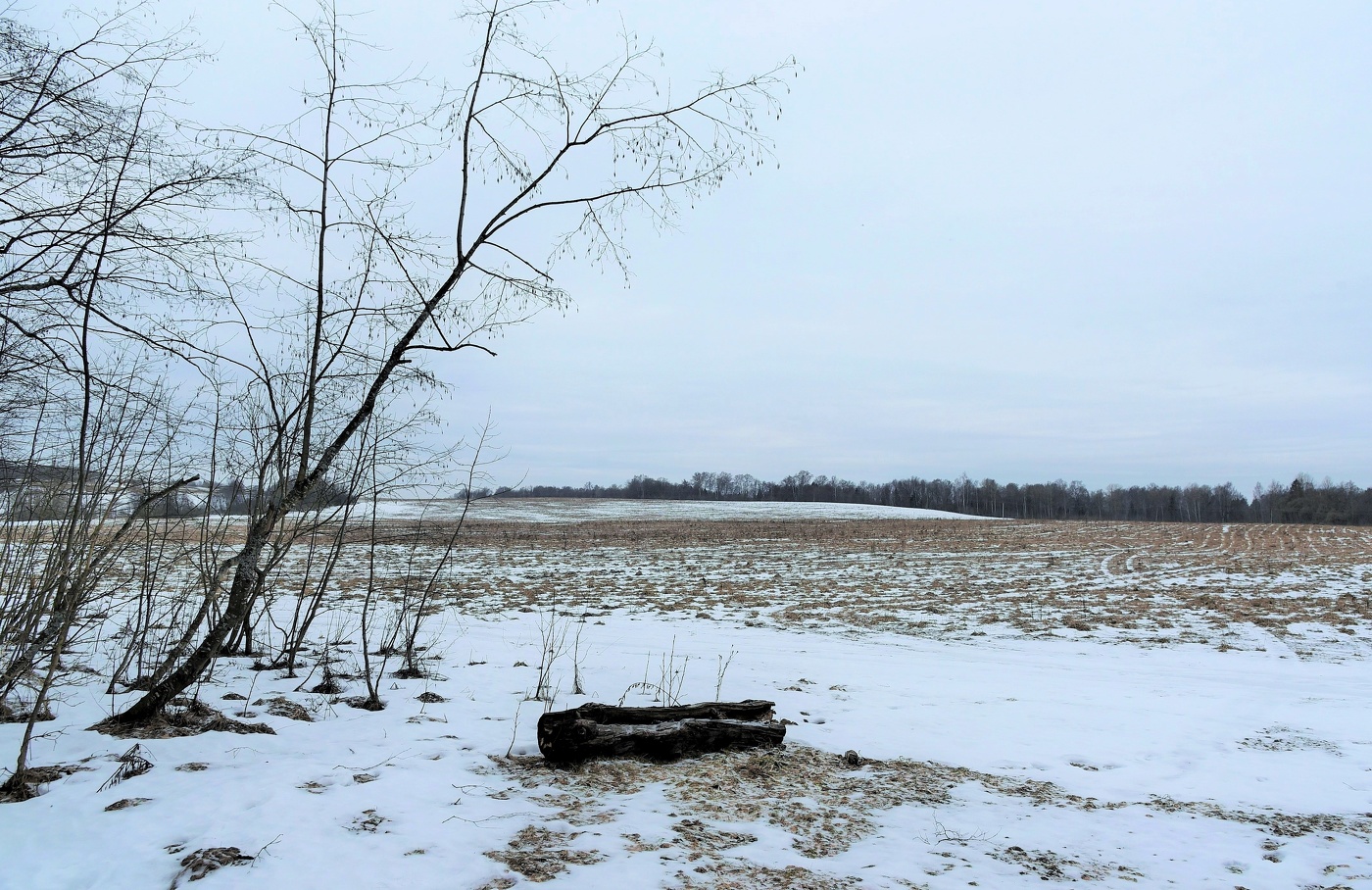"Небо - холст из линялого ситца ...."