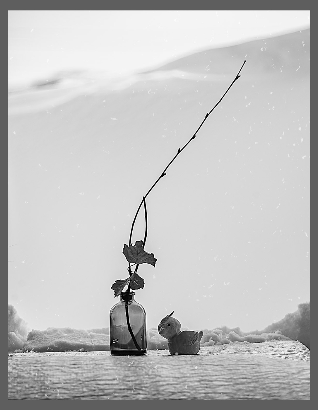 В ожидании весны