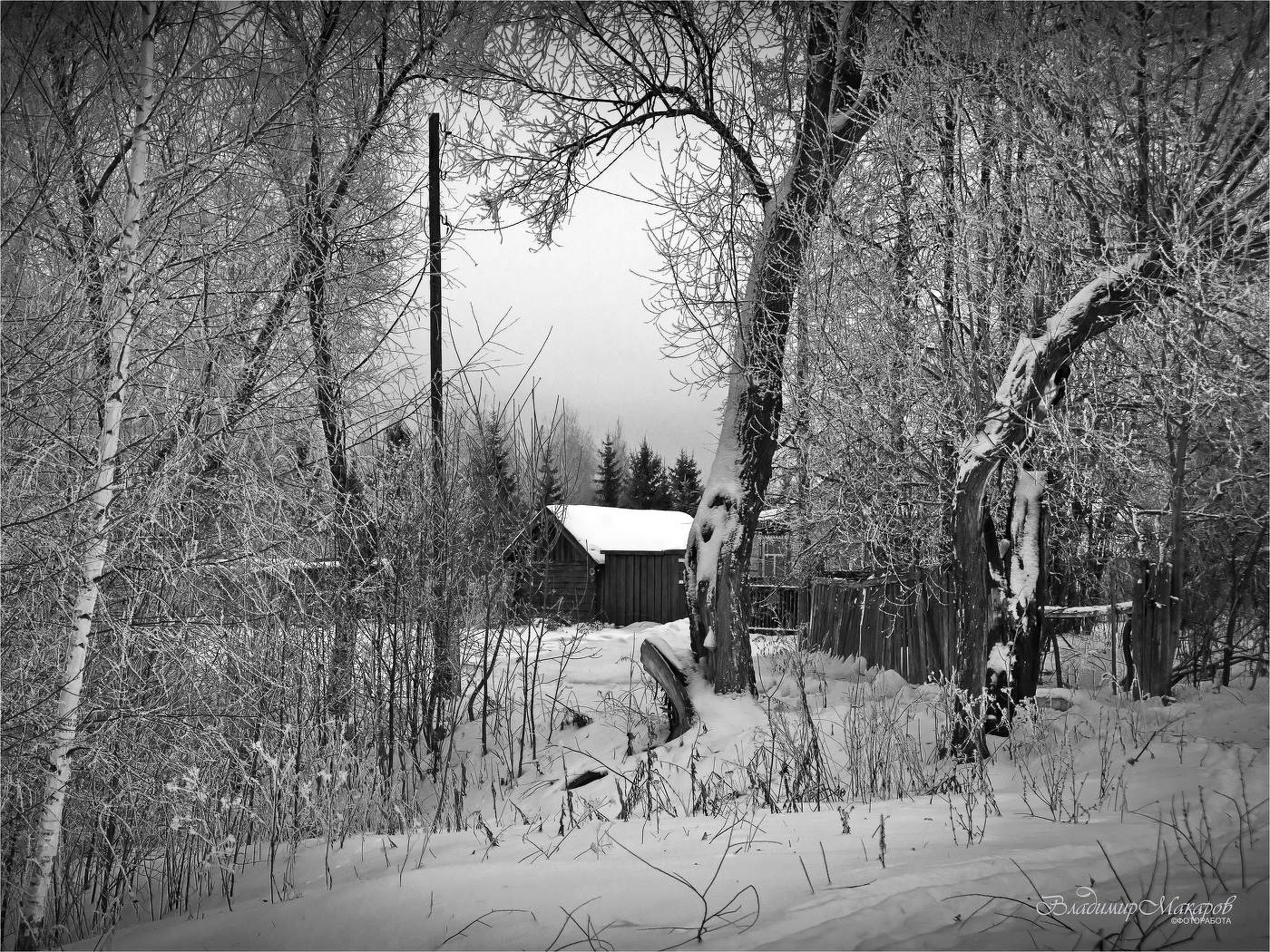 "Зима у деревенской околицы"© ч/б