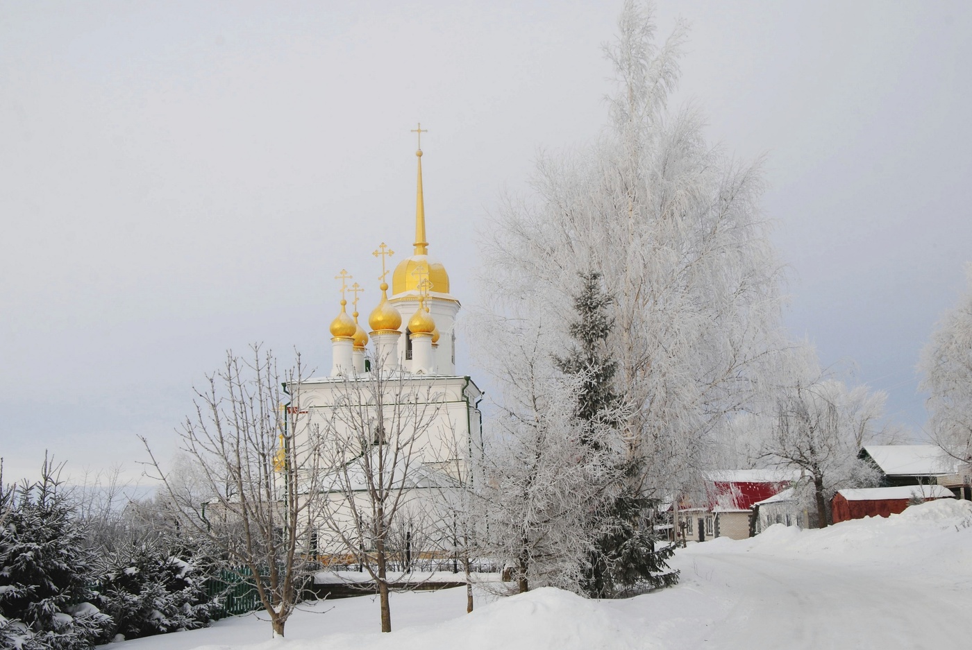 Светлый день