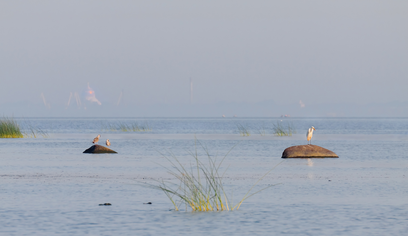 Маркизова лужа 2