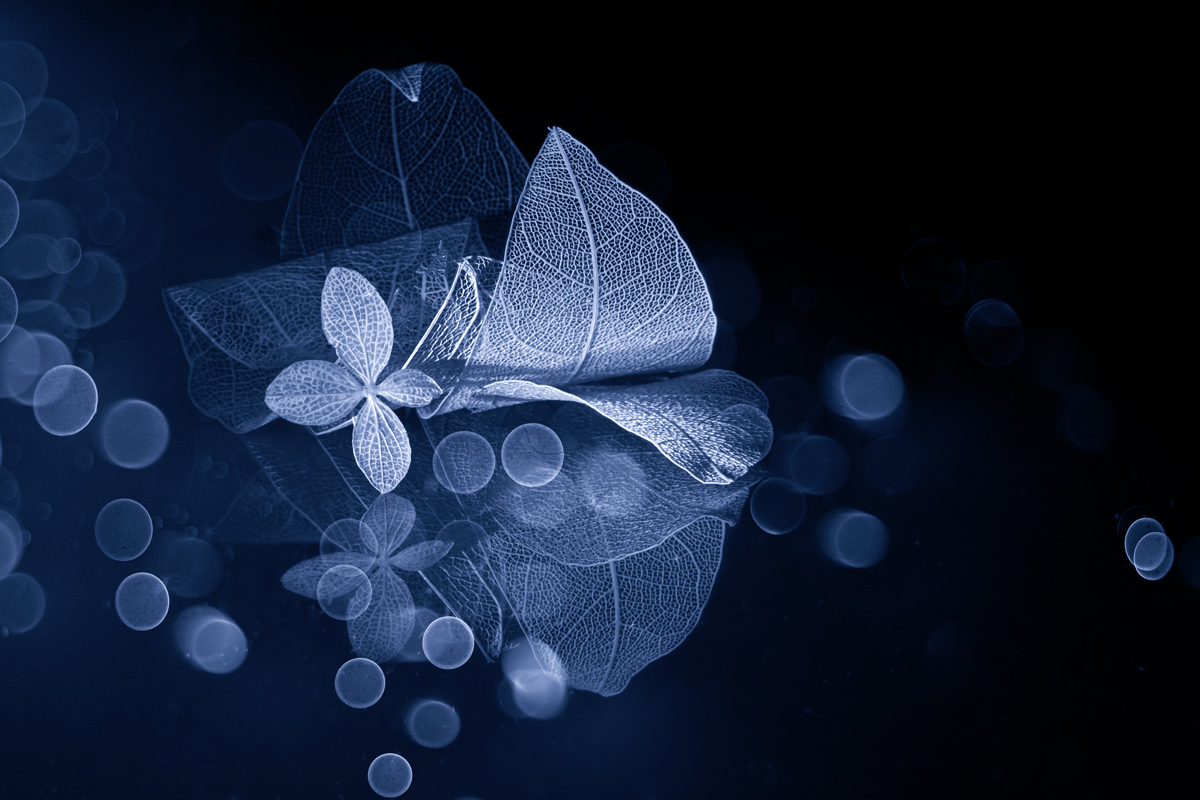 Самозабвенно