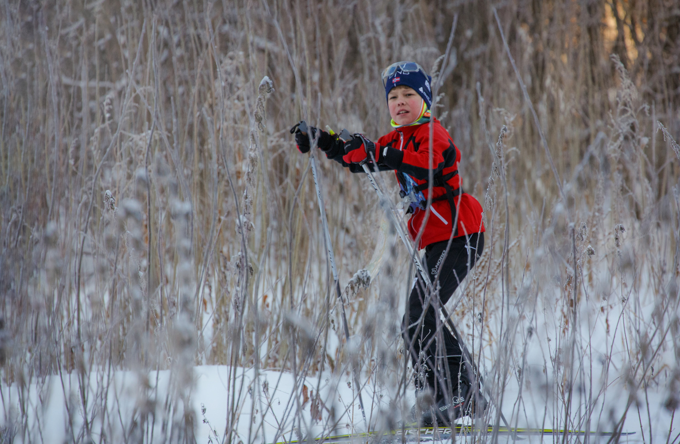"Спортивное ориентирование на лыжах".