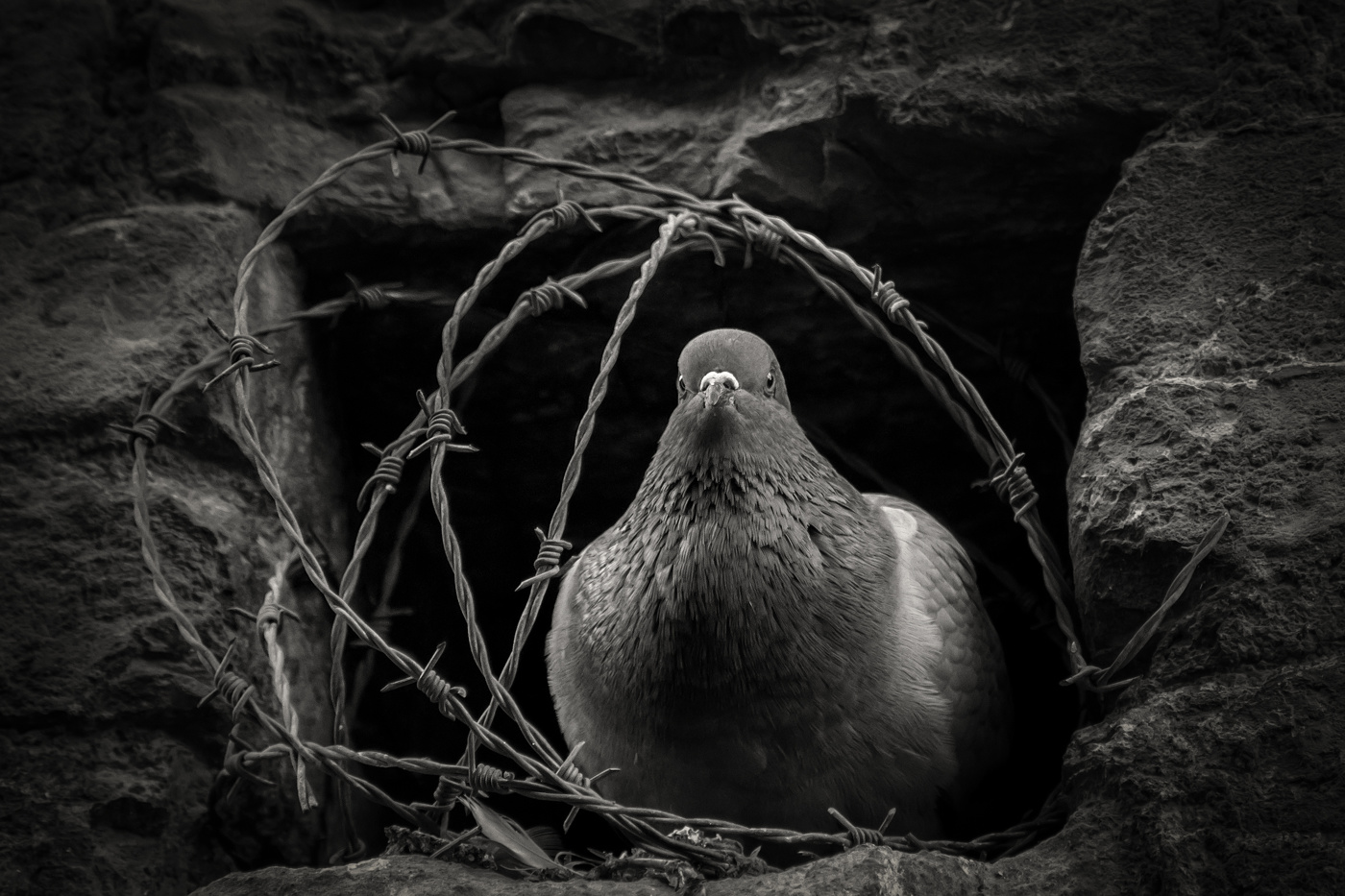 воля-неволя