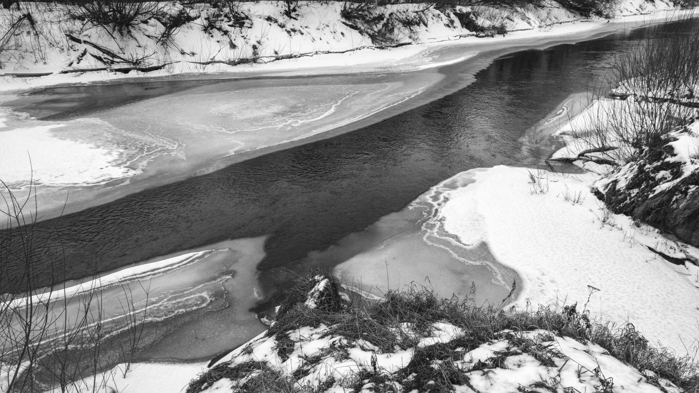 Жизнь вокруг