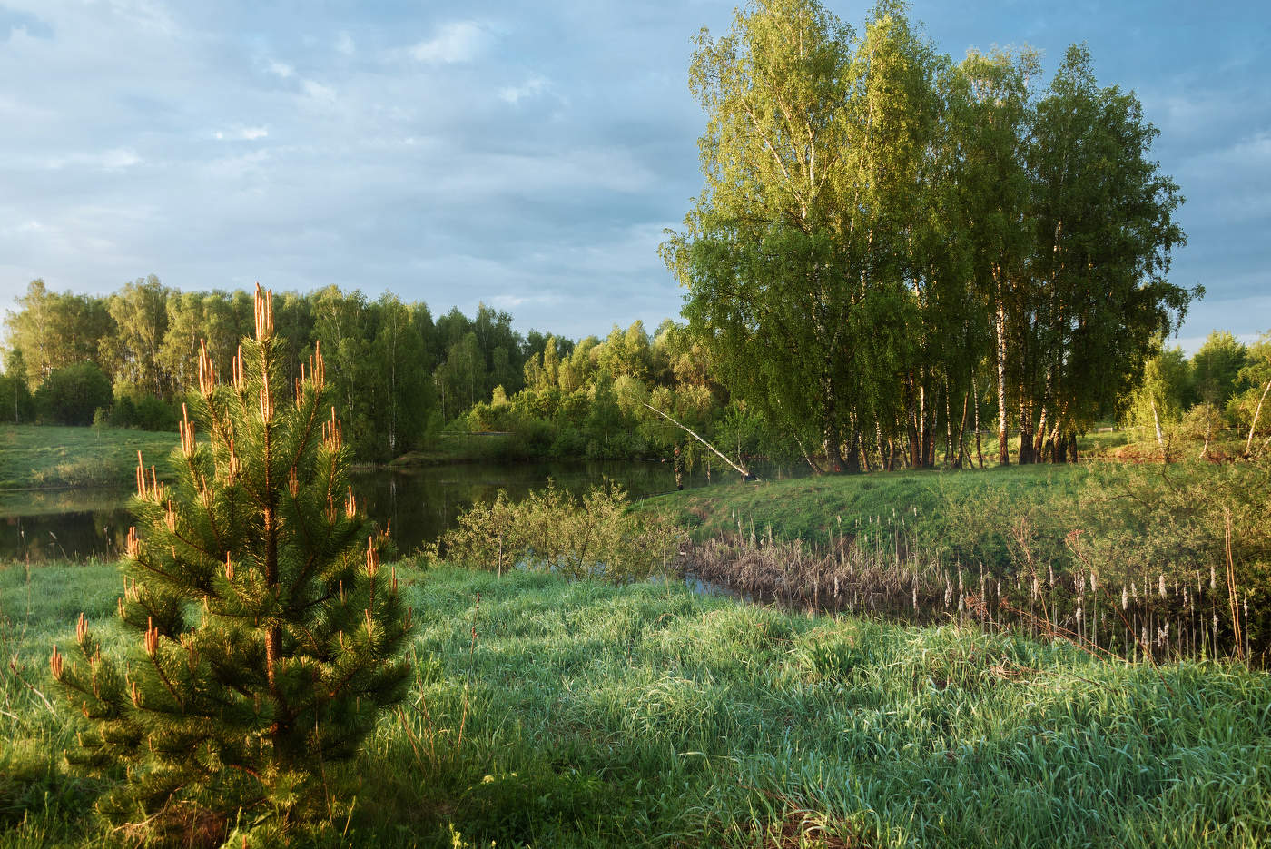 Прохладное утро.