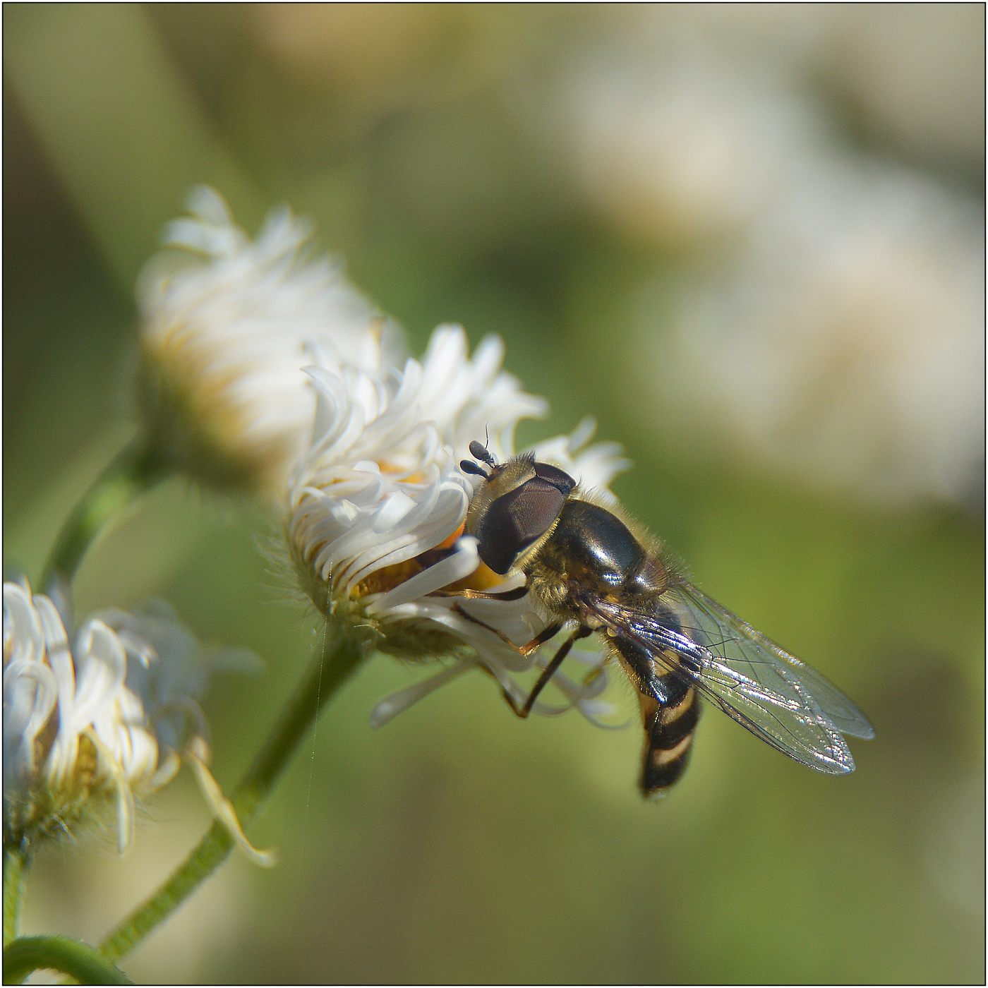 После заморозков.