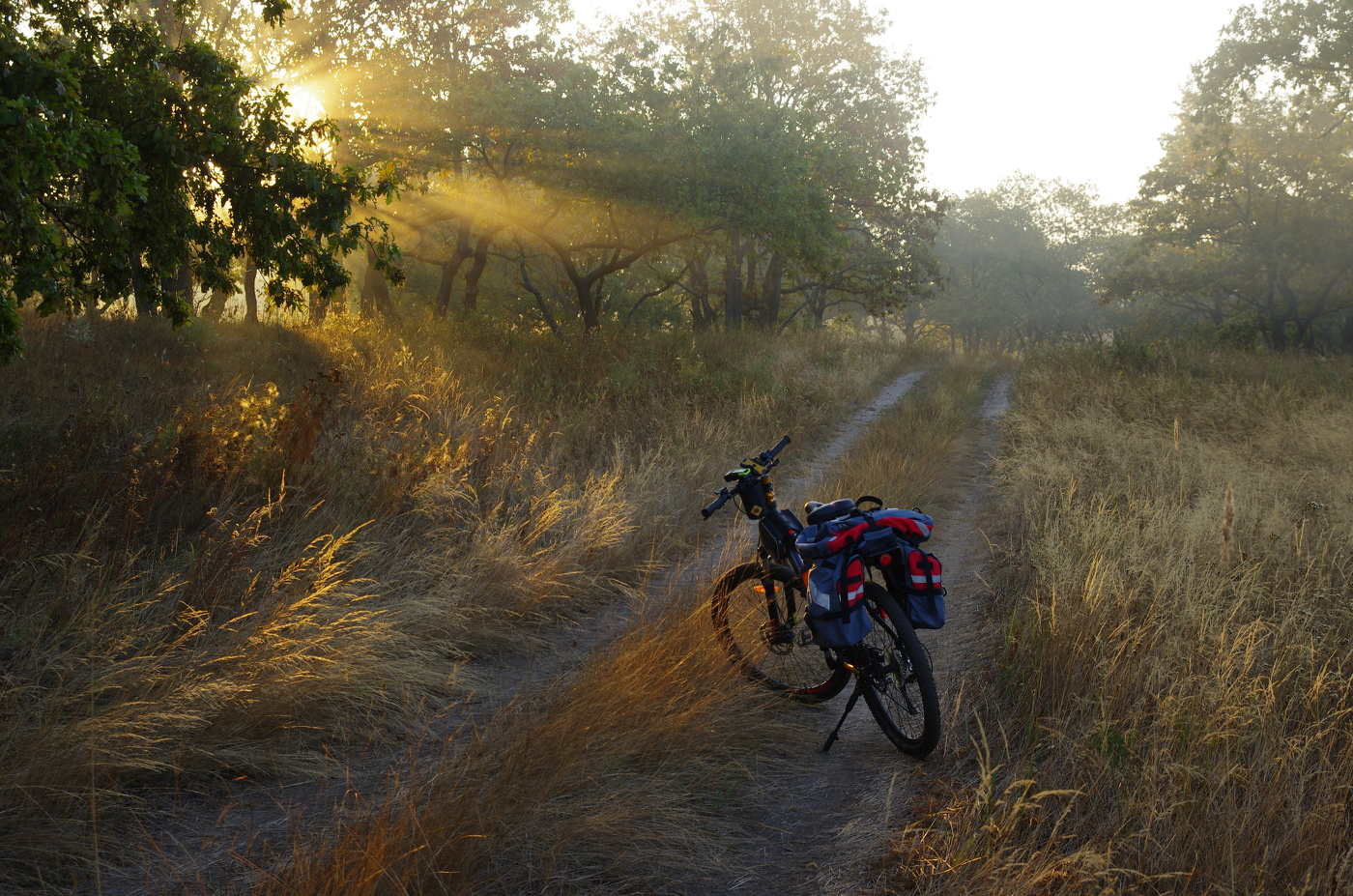 Встречая летнее утро
