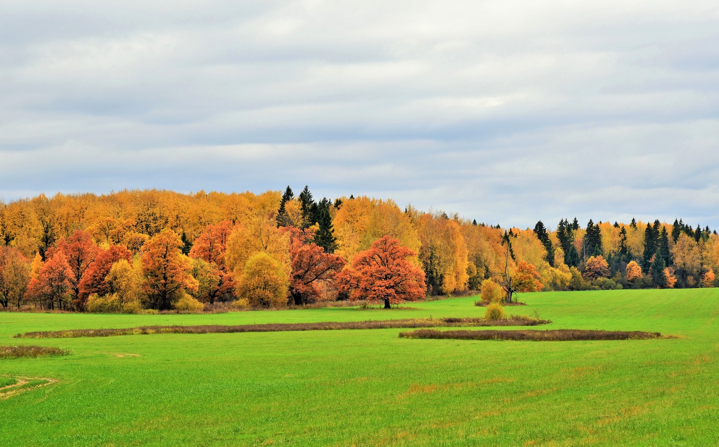 "Приятна мне твоя прощальная краса, в багрец и золото одетые леса..."