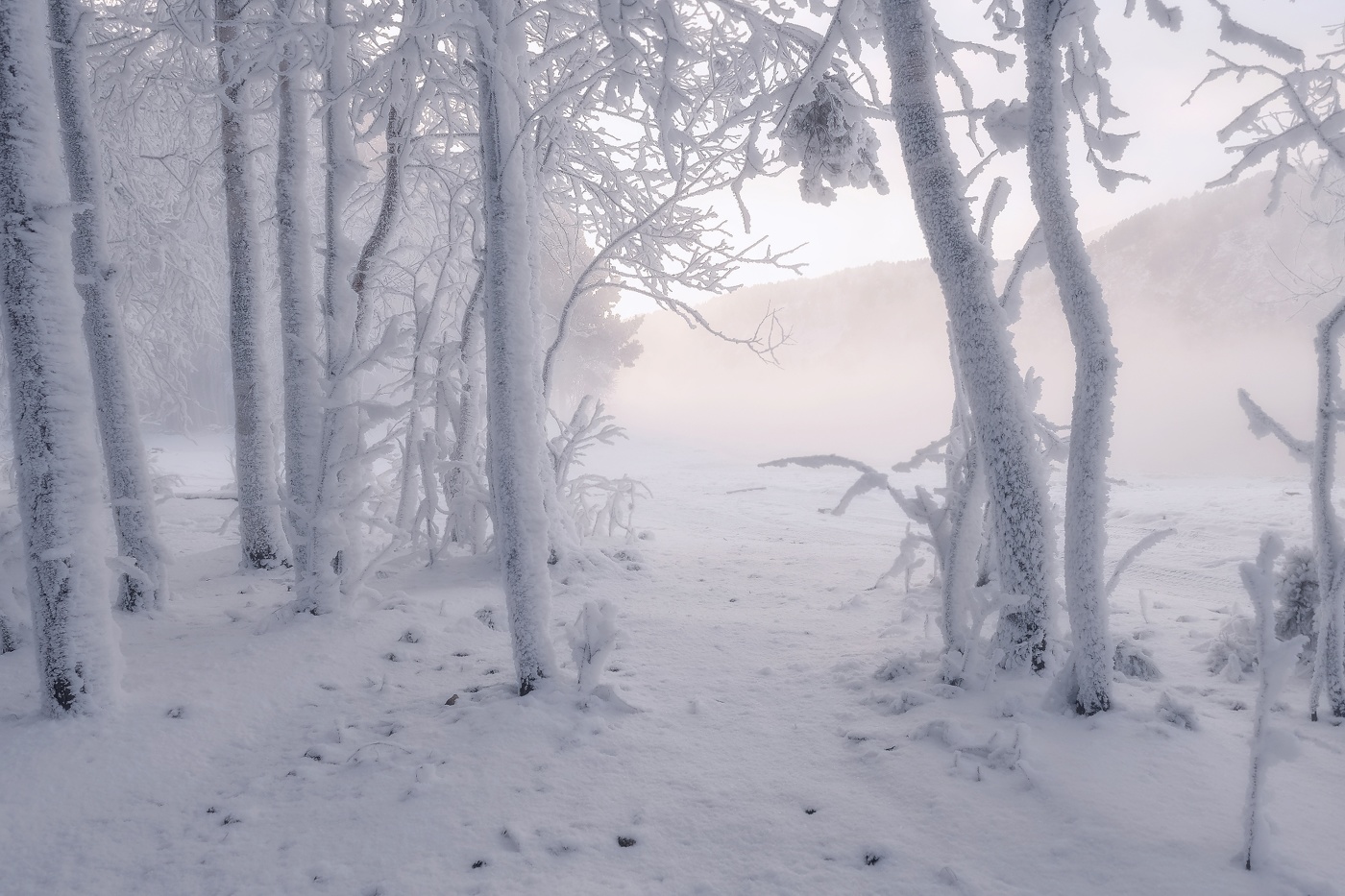 Морозный туман