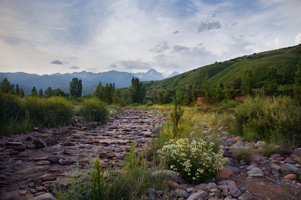 Тихое утро на речке Иссык