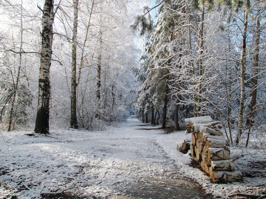 Откуда дровишки?