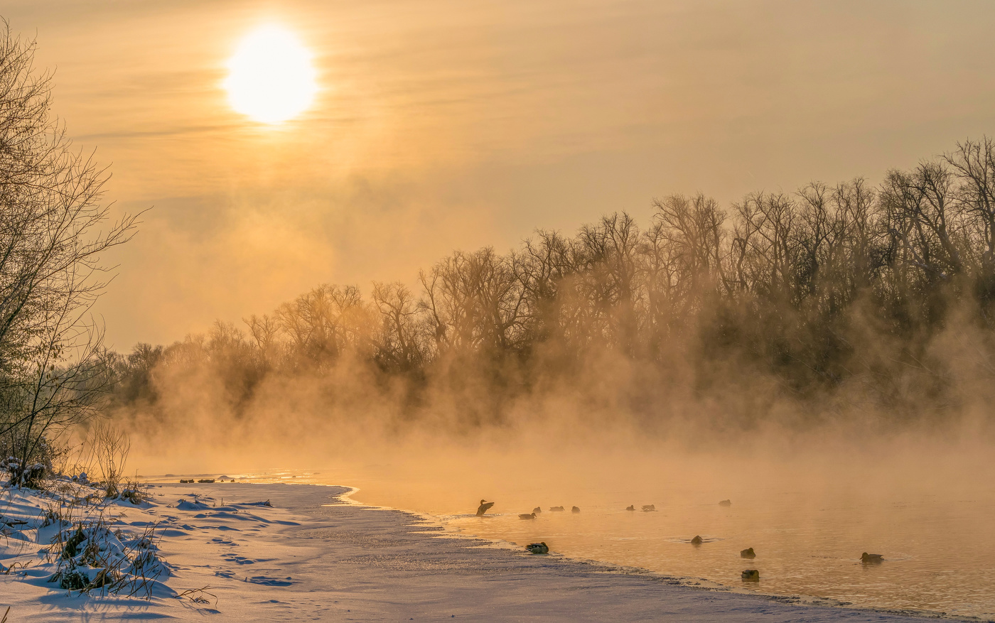 утро жгучее