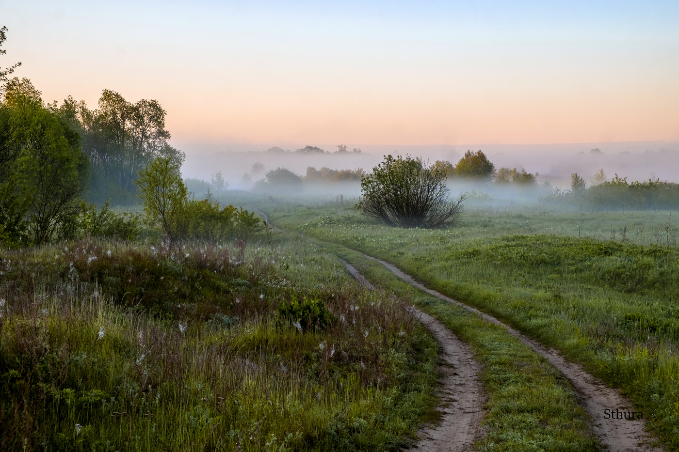 Утро. Весна.