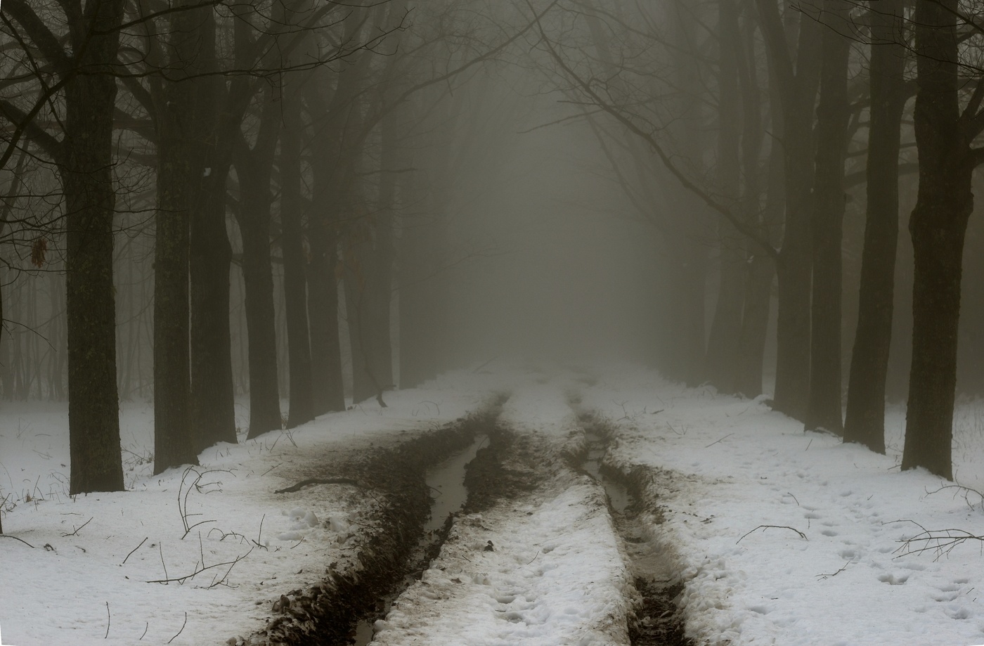 Зимний путь