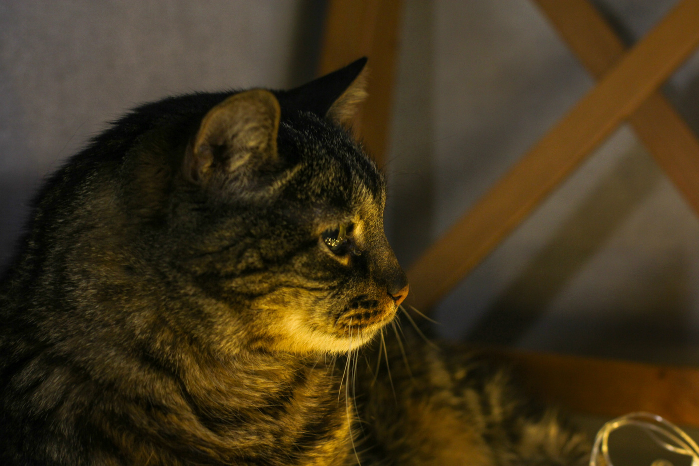 Мудрый размышляет.