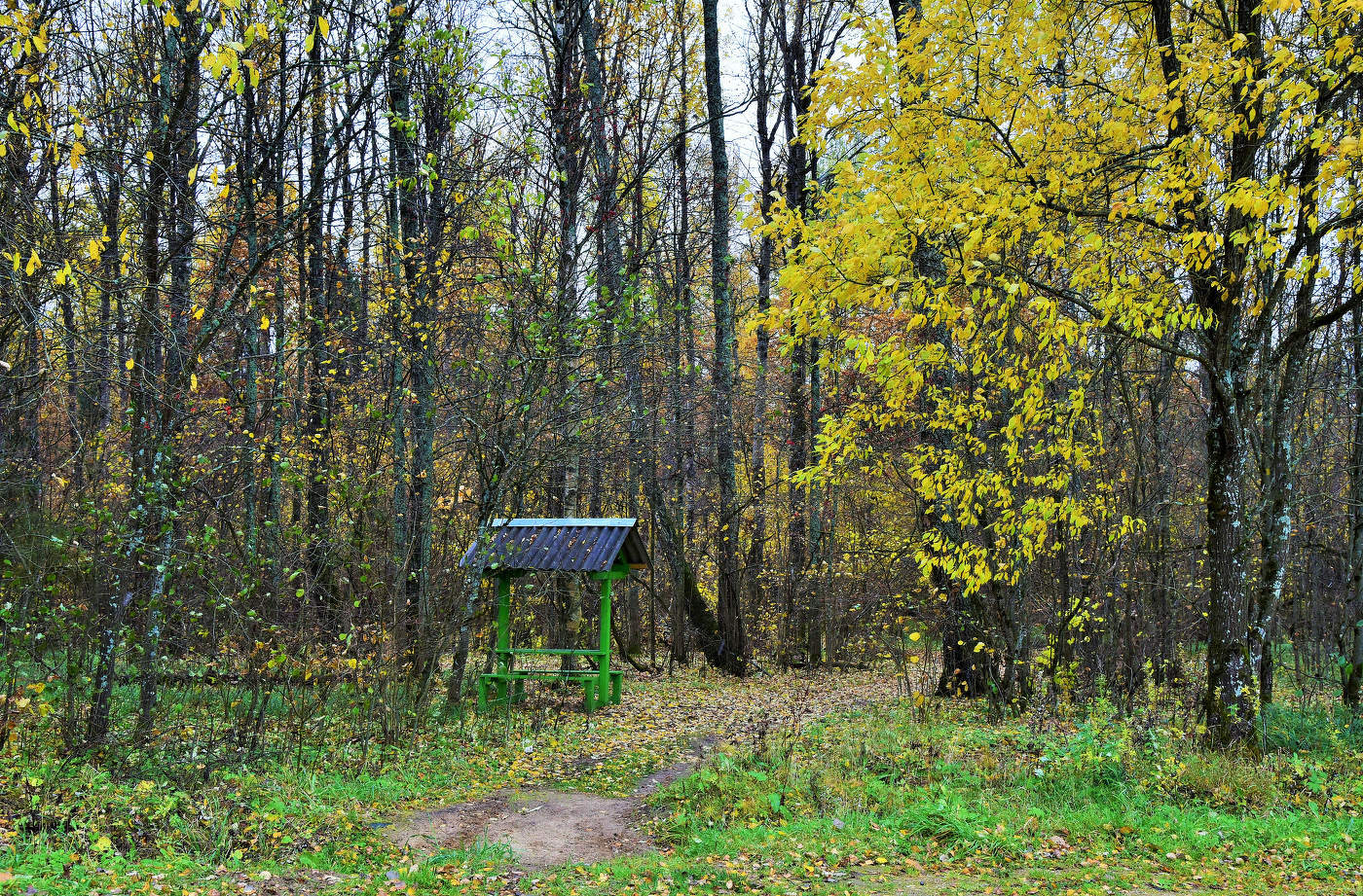 "Серость, сырость и сонливость, полусумрачная грусть ..."