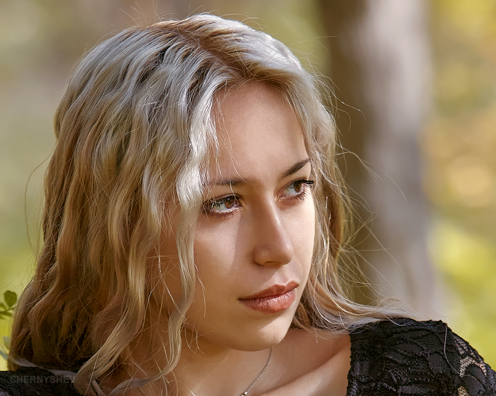 из альбома "логика листьев".