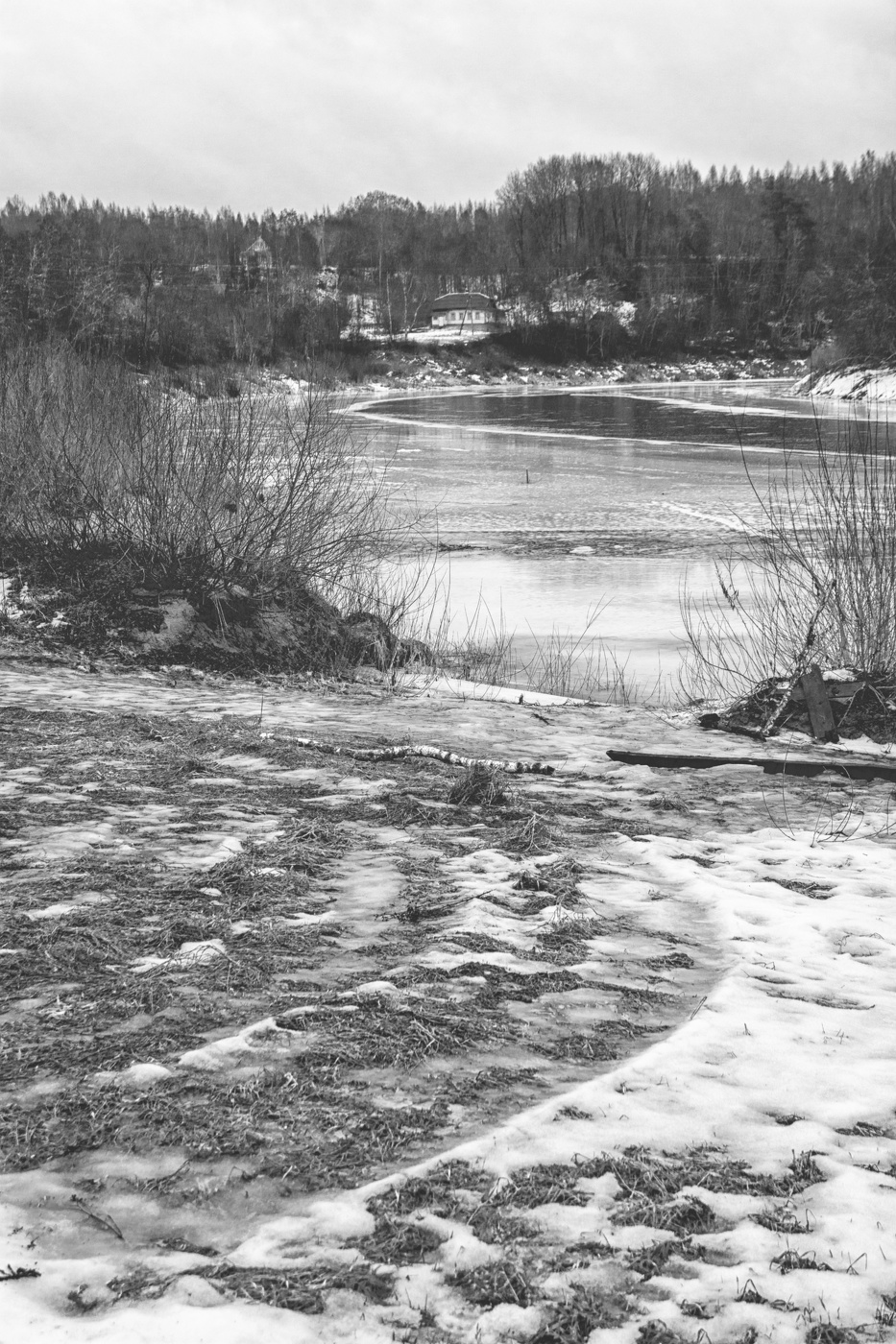 Жизнь вокруг