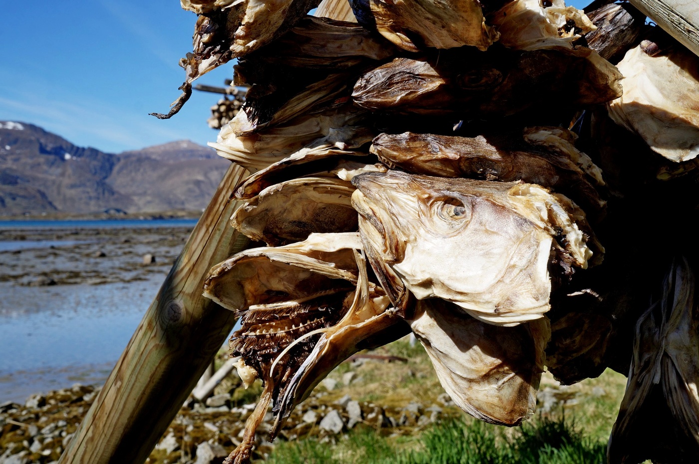 Правда жизни