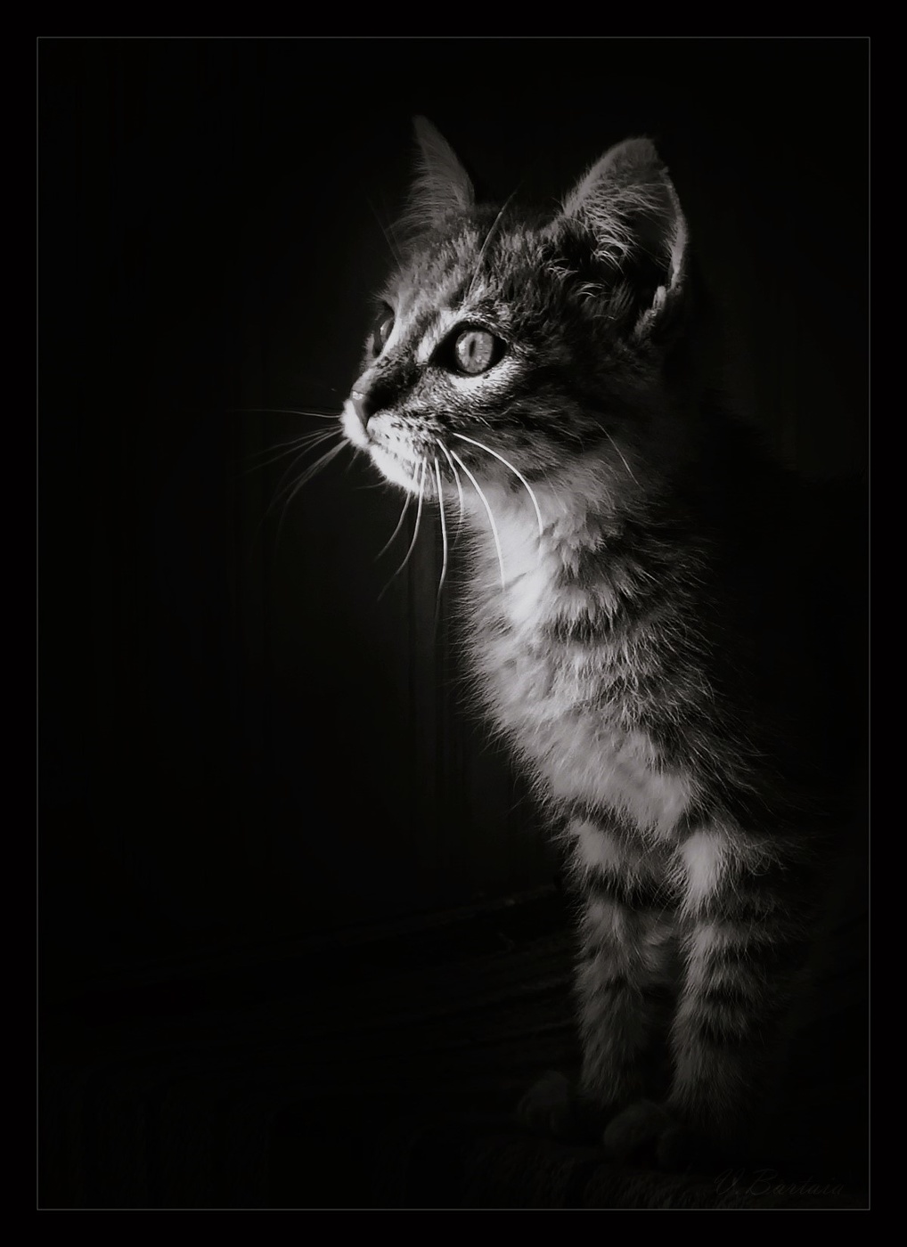 Когда всё интересно