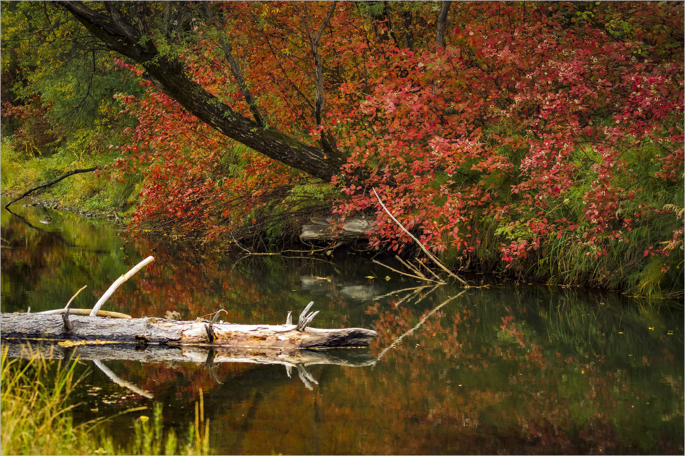 Осенняя пора