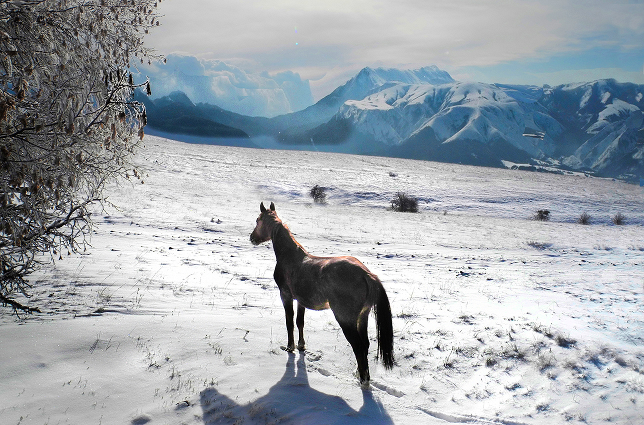 Гармония природы