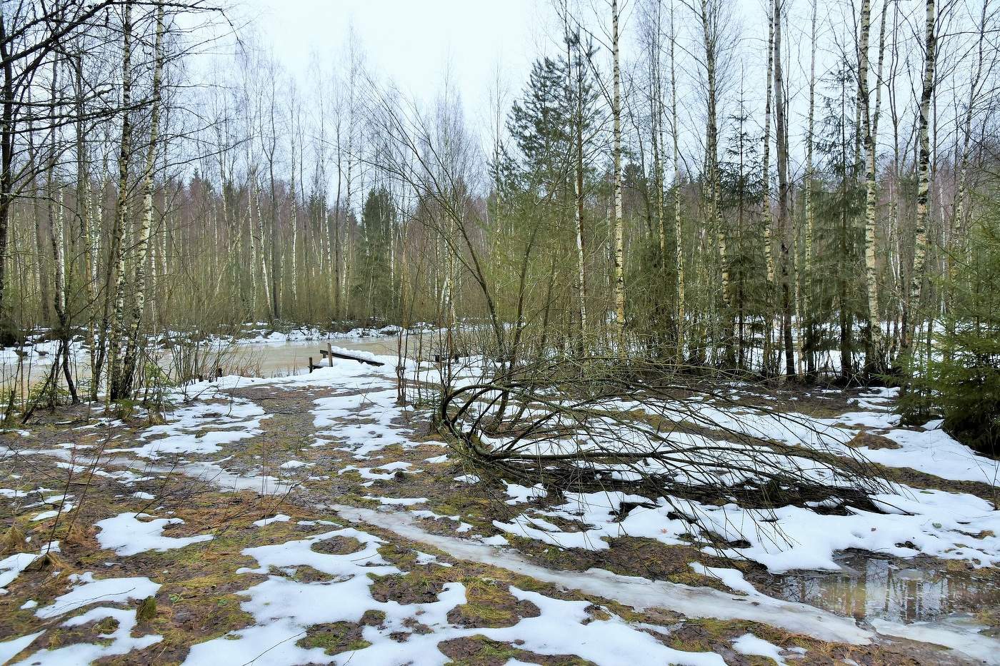 "Я думала это весна, а это оттепель ..."