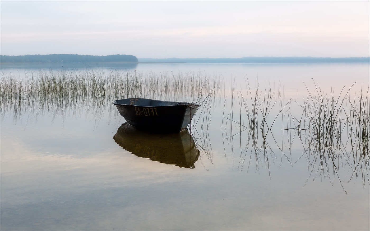 УТРО НЕЖНОГО РАССВЕТА