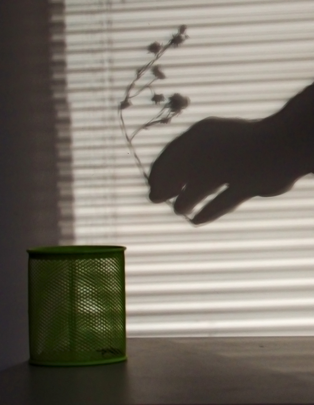 Параллельные миры