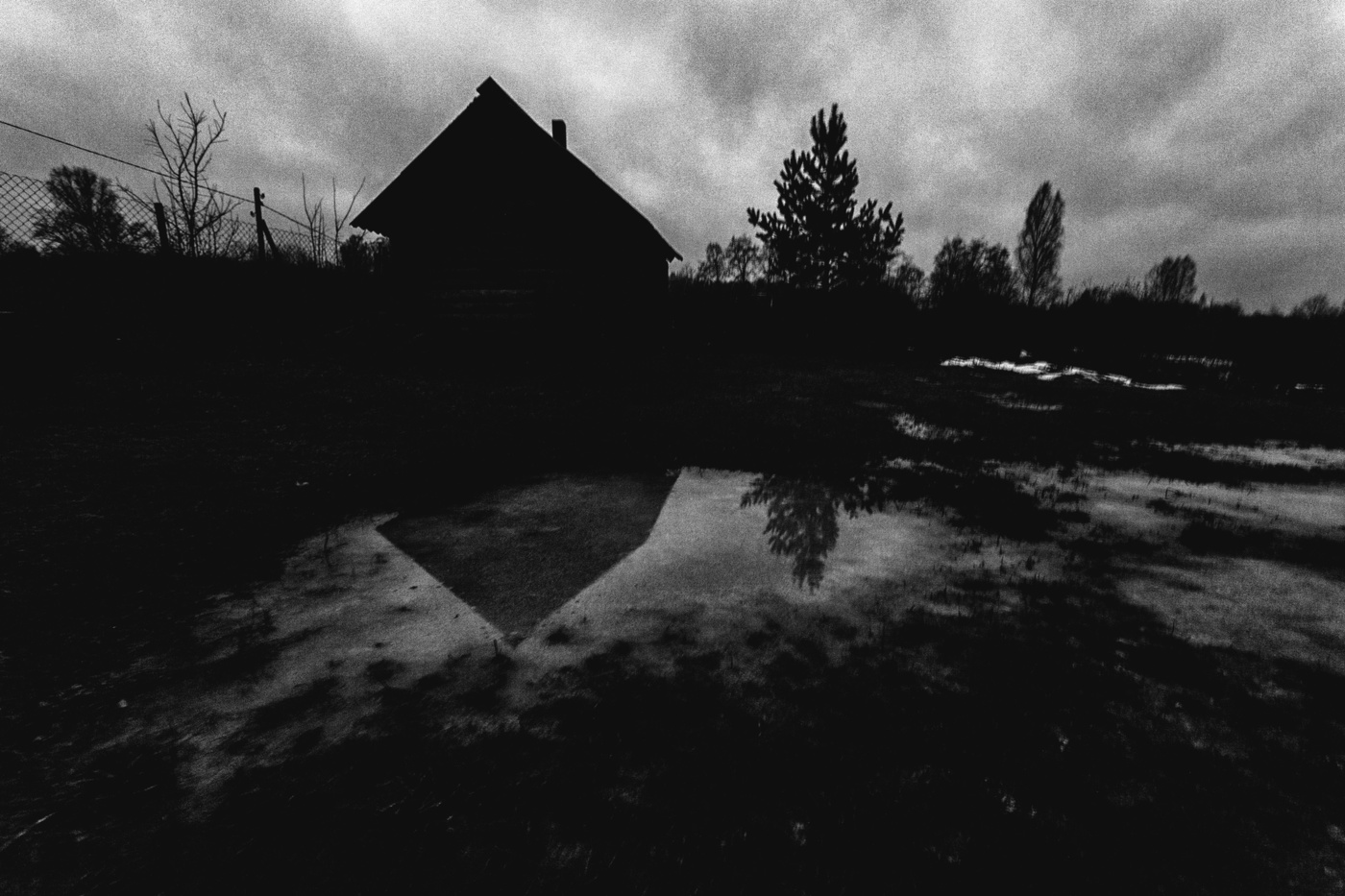 Жизнь вокруг