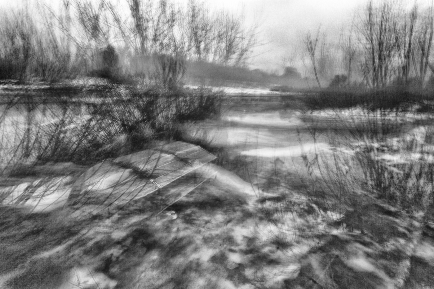 Жизнь вокруг