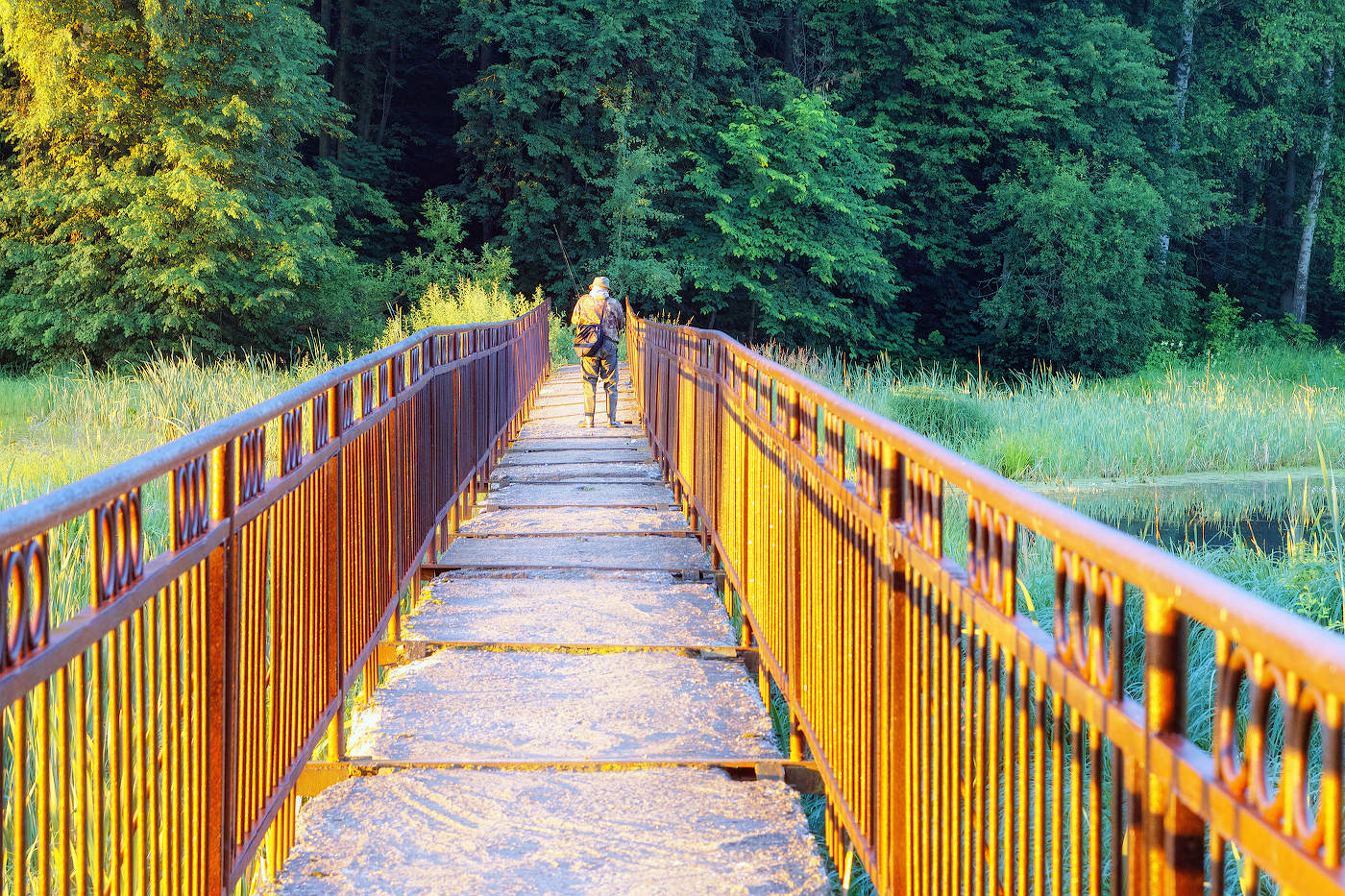 С первыми лучами солнца
