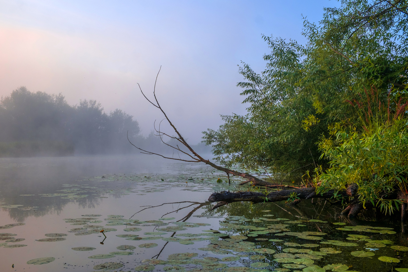 Утром на озере.