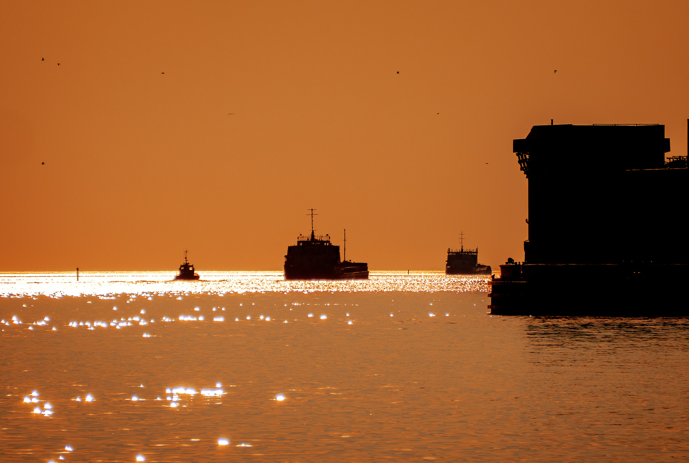 Силуэты и блики