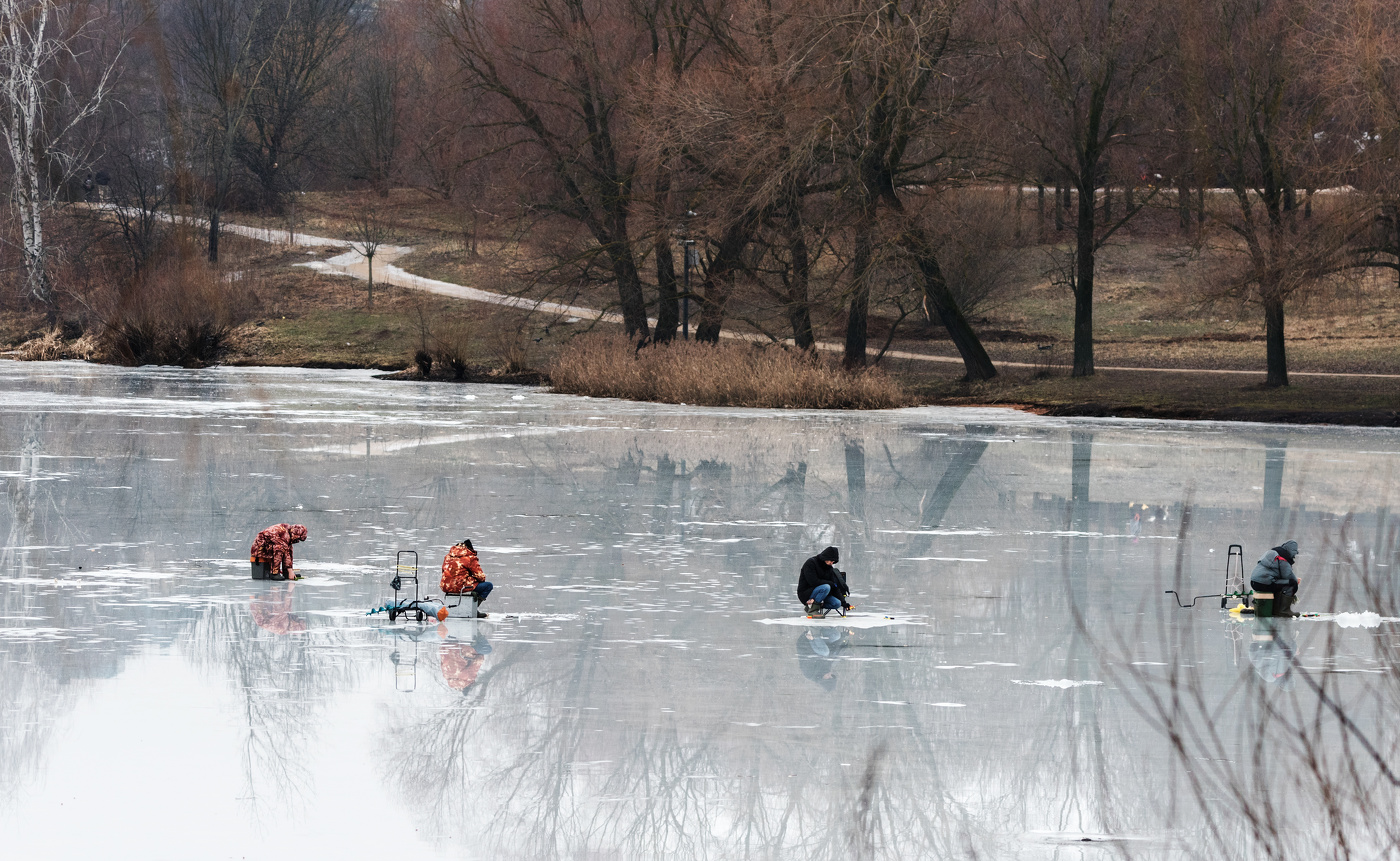 Молочные реки...