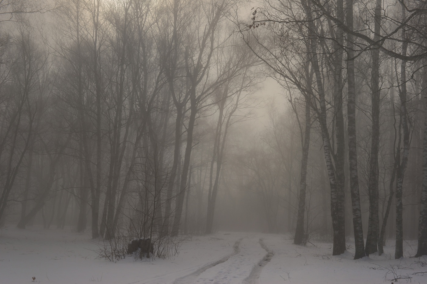 Туманное утро